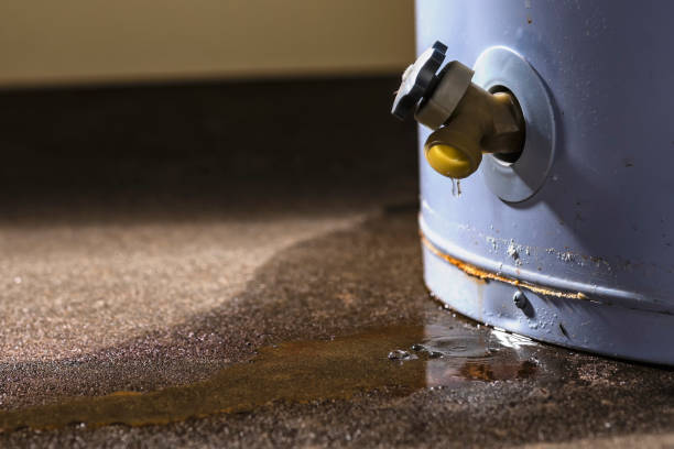  Jamul, CA Water damage restoration Pros