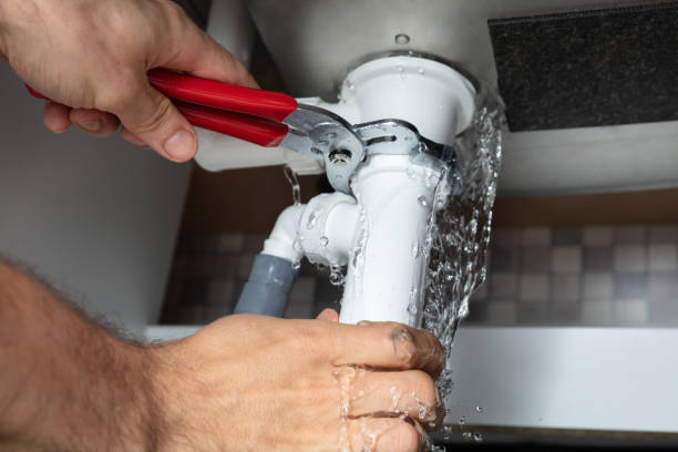Best Flood restoration services  in Jamul, CA