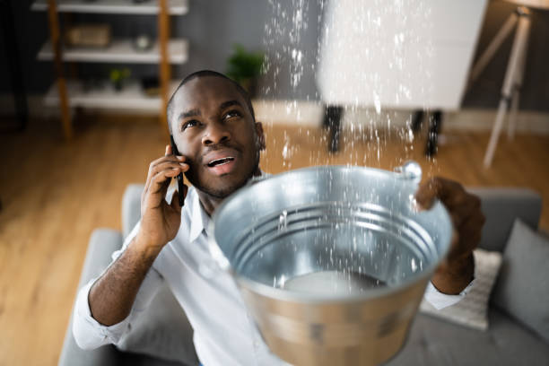 Best Flood restoration services  in Jamul, CA