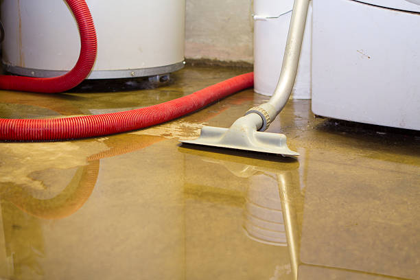 Water damage restoration process in Jamul, CA