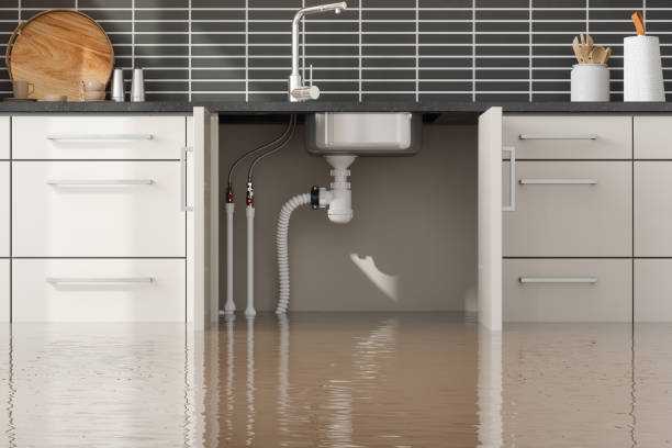 Best Residential water damage restoration  in Jamul, CA