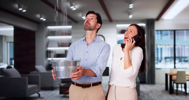Best 24-hour water damage restoration  in Jamul, CA